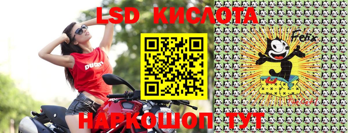 Марки 25I-NBOMe 1500мкг Чернушка