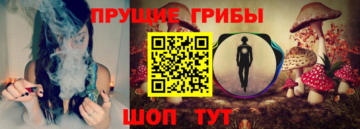 Чернушка  Псилоцибиновые грибы Magic Shrooms  Вход с VPN 
